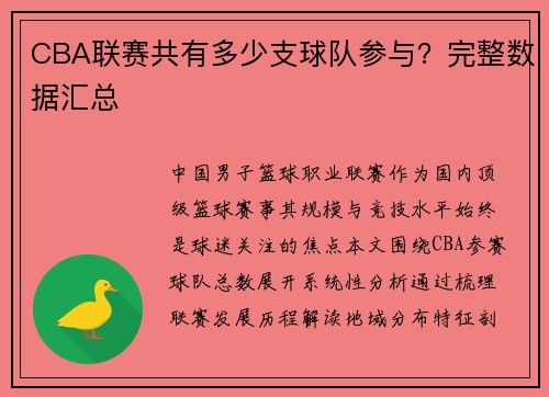 CBA联赛共有多少支球队参与？完整数据汇总